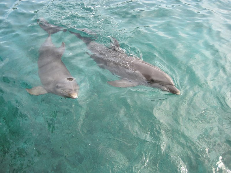 Curacao 04-12 209.JPG